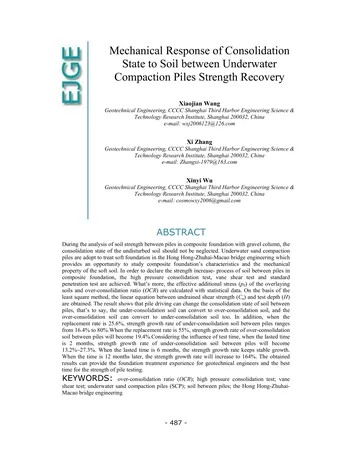 Más sobre Respuesta Mecánica del Estado de Consolidación al Suelo